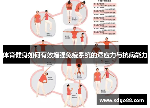 体育健身如何有效增强免疫系统的适应力与抗病能力